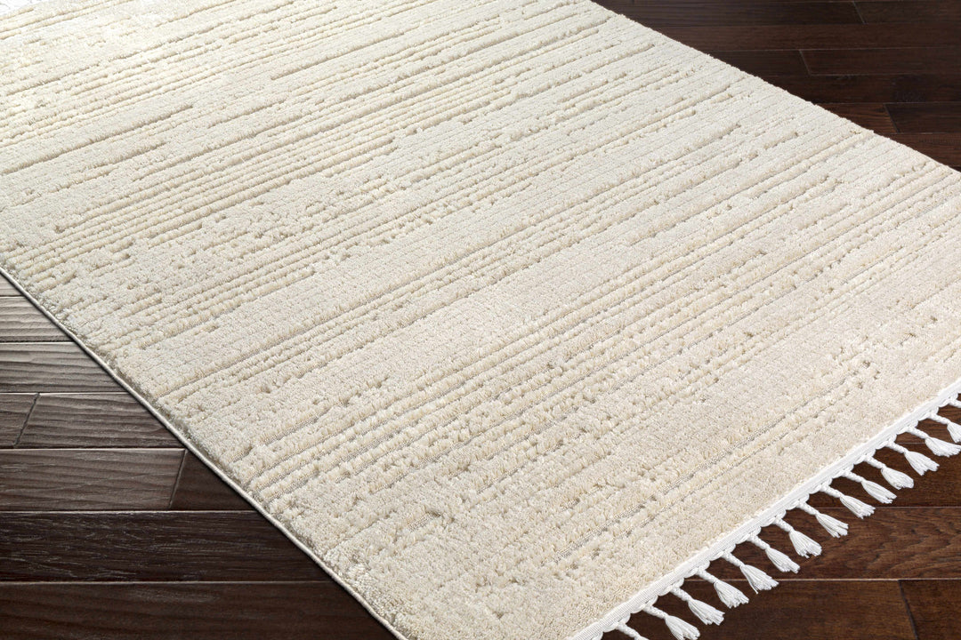 Ibarra Modern Style Ivory Area Rug