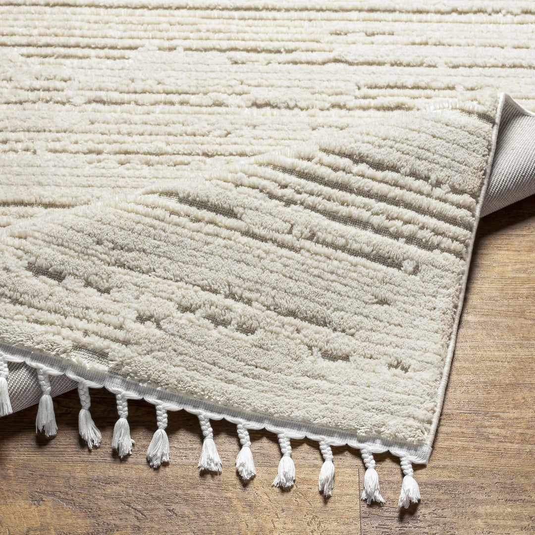 Ibarra Modern Style Ivory Area Rug