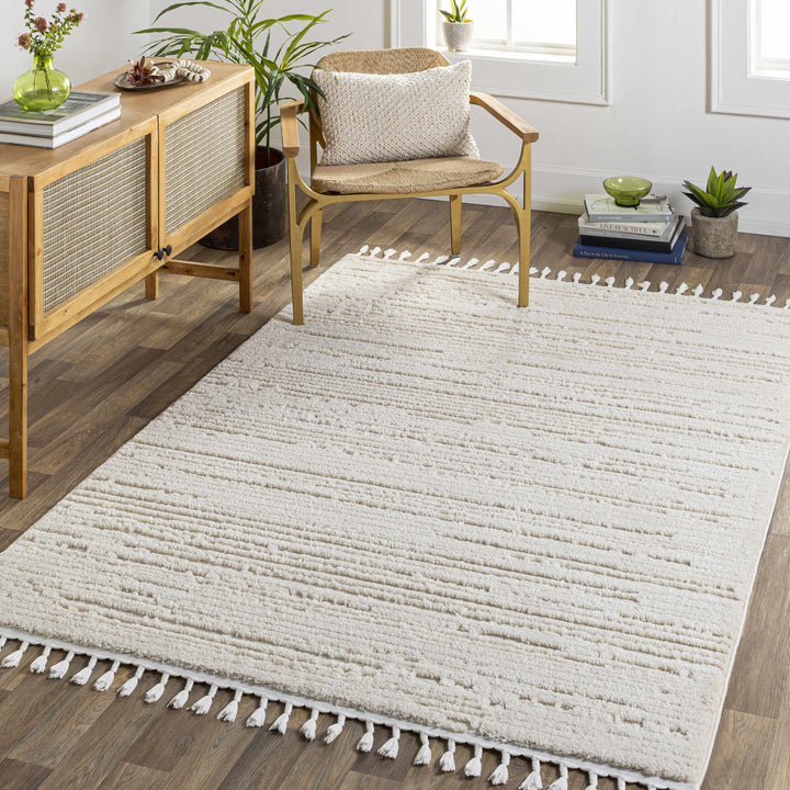 Ibarra Modern Style Ivory Area Rug