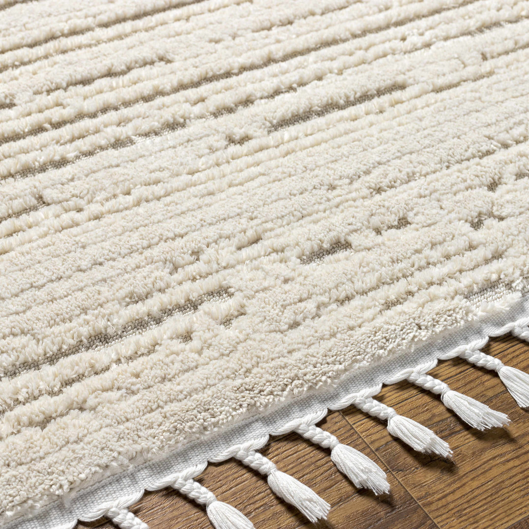 Ibarra Modern Style Ivory Area Rug