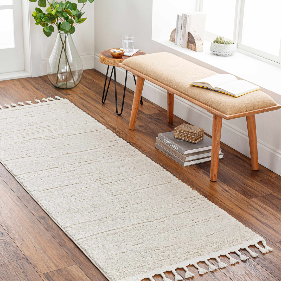 Ibarra Modern Style Ivory Area Rug