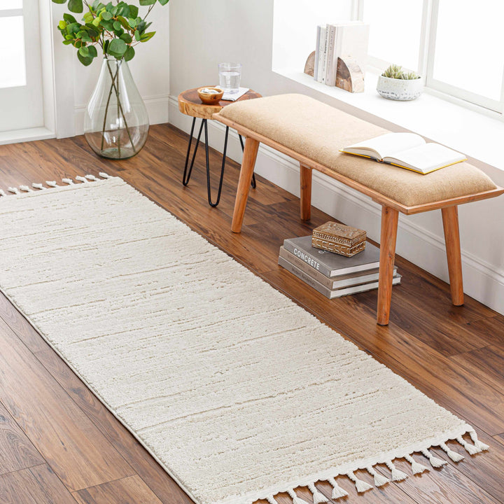 Ibarra Modern Style Ivory Area Rug