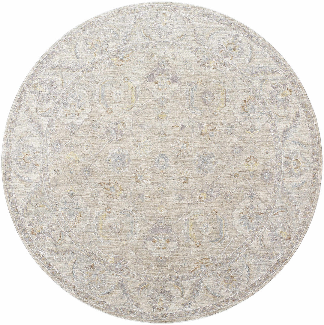 Iikka Traditional Beige And Gray Area Rug - The Rug Decor