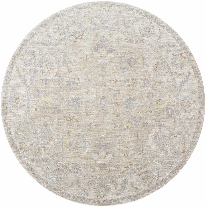 Iikka Traditional Beige And Gray Area Rug - The Rug Decor