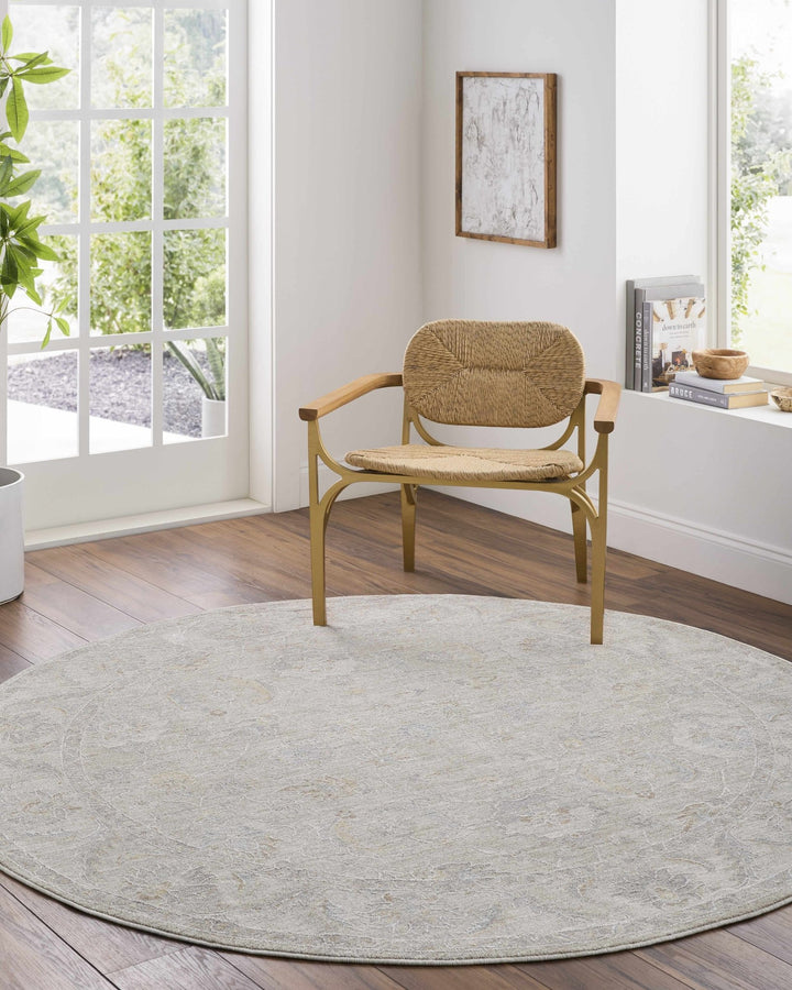 Iikka Traditional Beige And Gray Area Rug - The Rug Decor