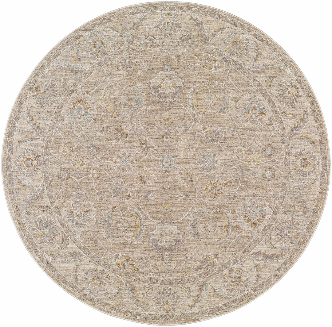 Iikka Traditional Beige And Gray Area Rug - The Rug Decor
