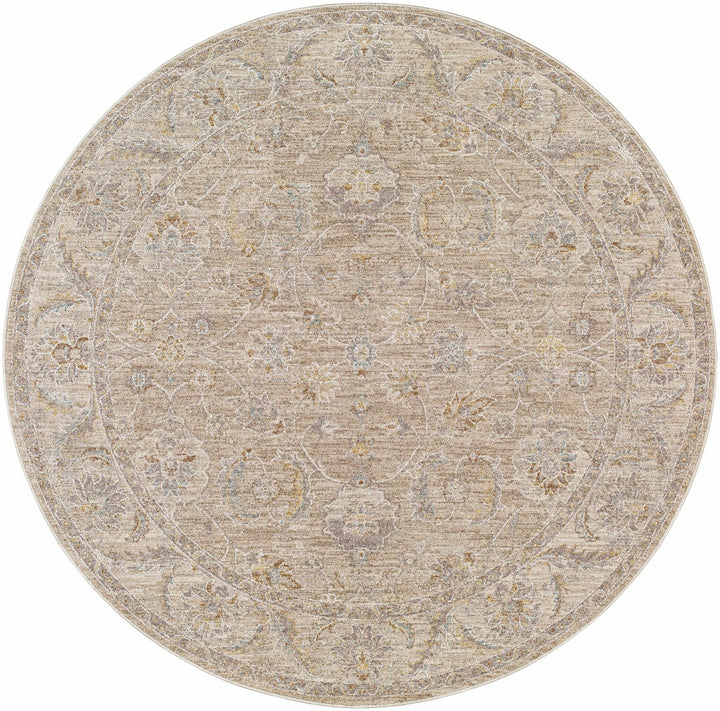 Iikka Traditional Beige And Gray Area Rug - The Rug Decor