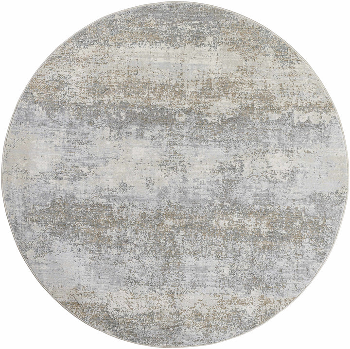 Ikram Modern Style Gray And Beige Boutique Rug