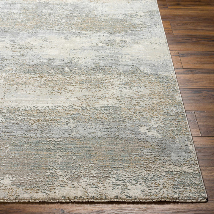 Ikram Modern Style Gray And Beige Boutique Rug