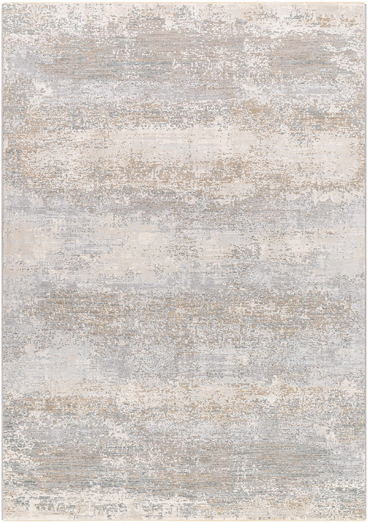 Ikram Modern Style Gray And Beige Boutique Rug