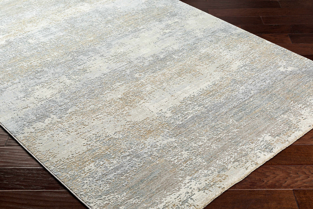 Ikram Modern Style Gray And Beige Boutique Rug