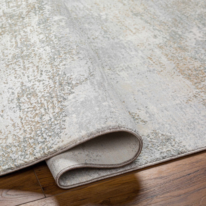 Ikram Modern Style Gray And Beige Boutique Rug