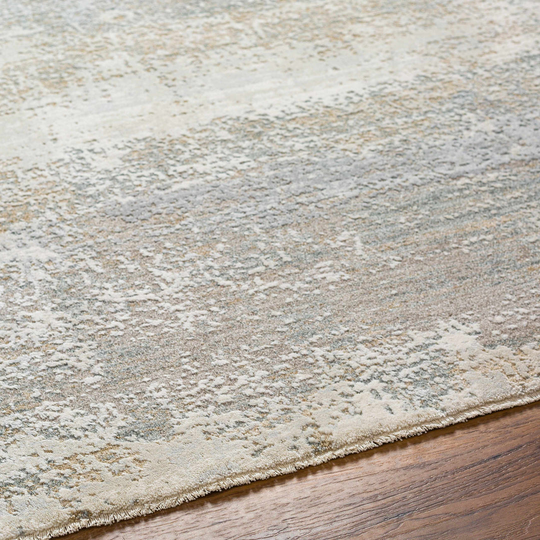 Ikram Modern Style Gray And Beige Boutique Rug