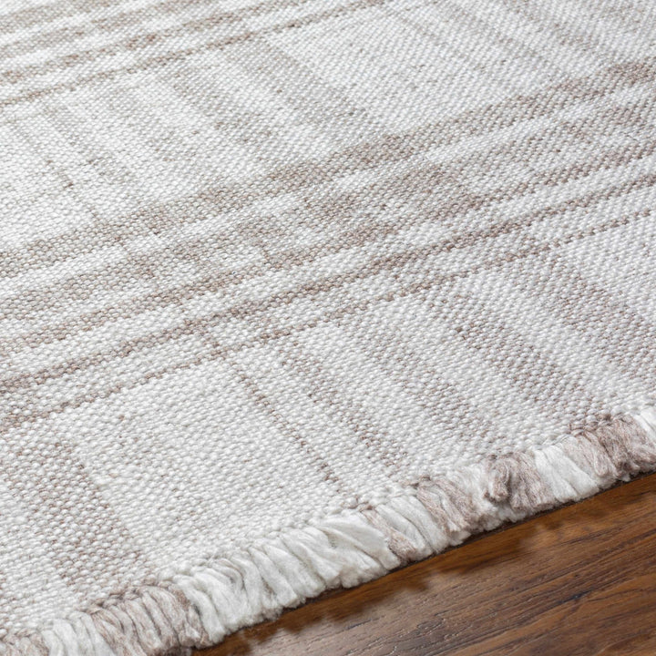 Inara Contemporary Brown And Ivory Area Rug - The Rug Decor