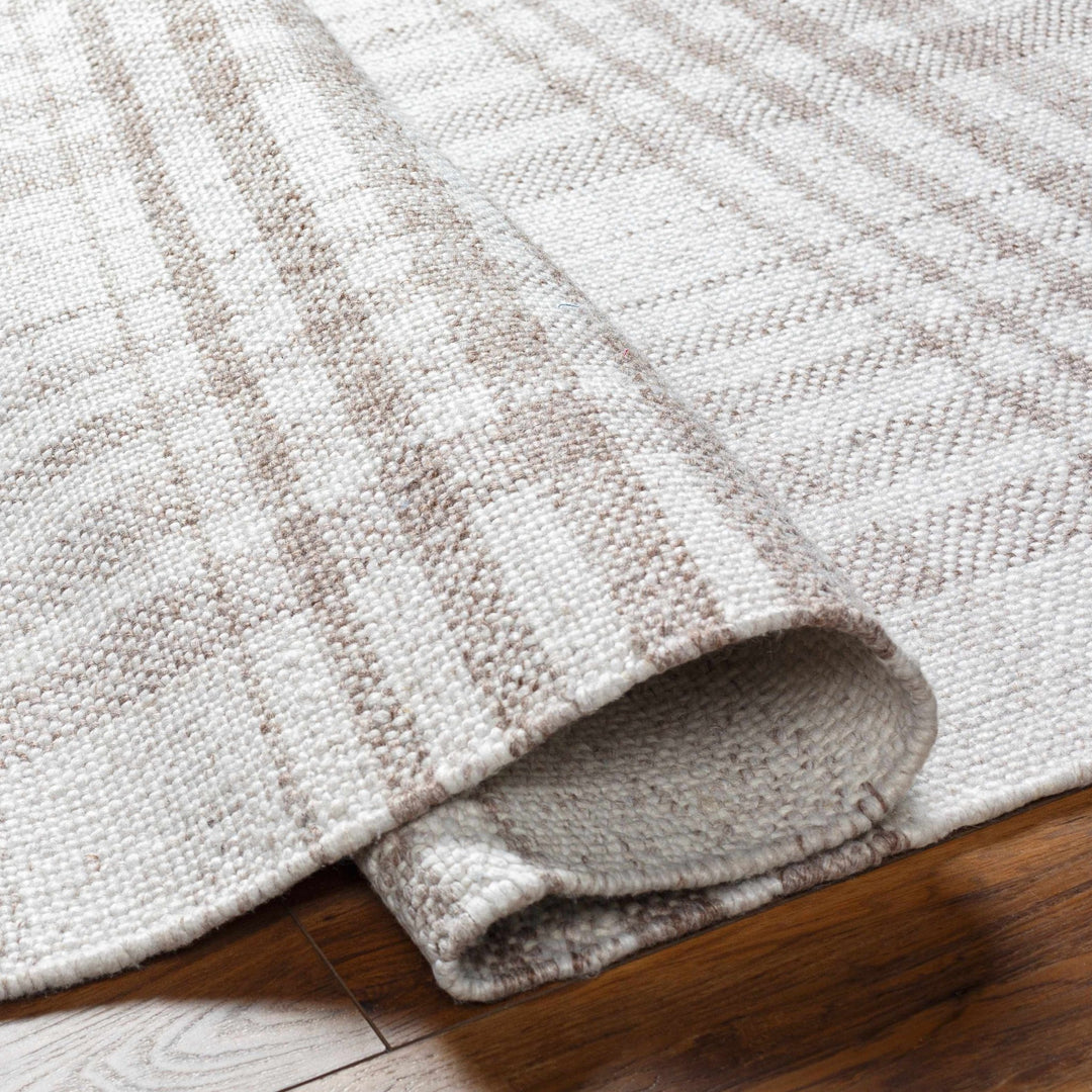 Inara Contemporary Brown And Ivory Area Rug - The Rug Decor