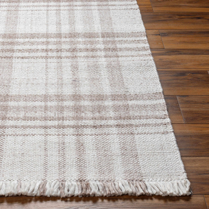 Inara Contemporary Brown And Ivory Area Rug - The Rug Decor
