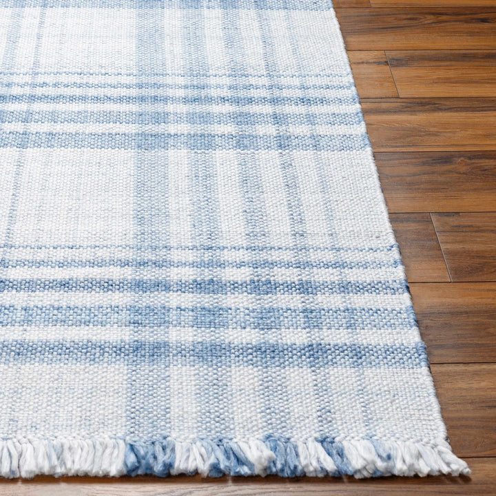 Inara Contemporary Style Blue And White Area Rug - The Rug Decor