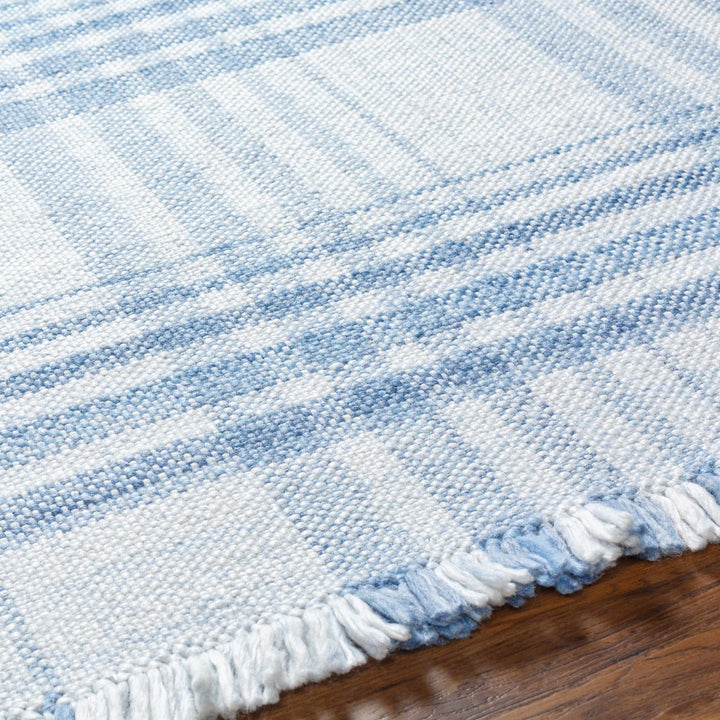 Inara Contemporary Style Blue And White Area Rug - The Rug Decor