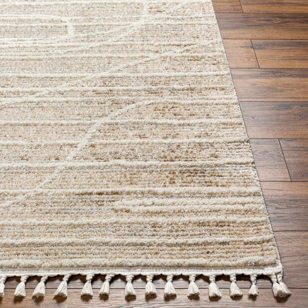 Inaya Contemporary Beige And Brown Area Rug - The Rug Decor