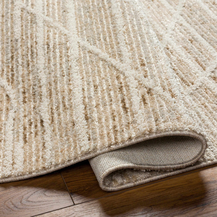 Inaya Contemporary Beige And Brown Area Rug - The Rug Decor