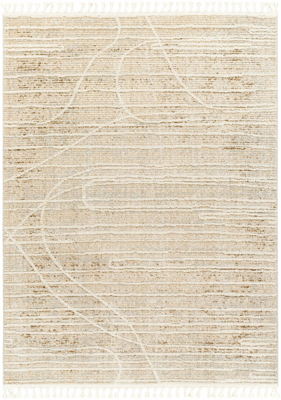 Inaya Contemporary Beige And Brown Area Rug - The Rug Decor