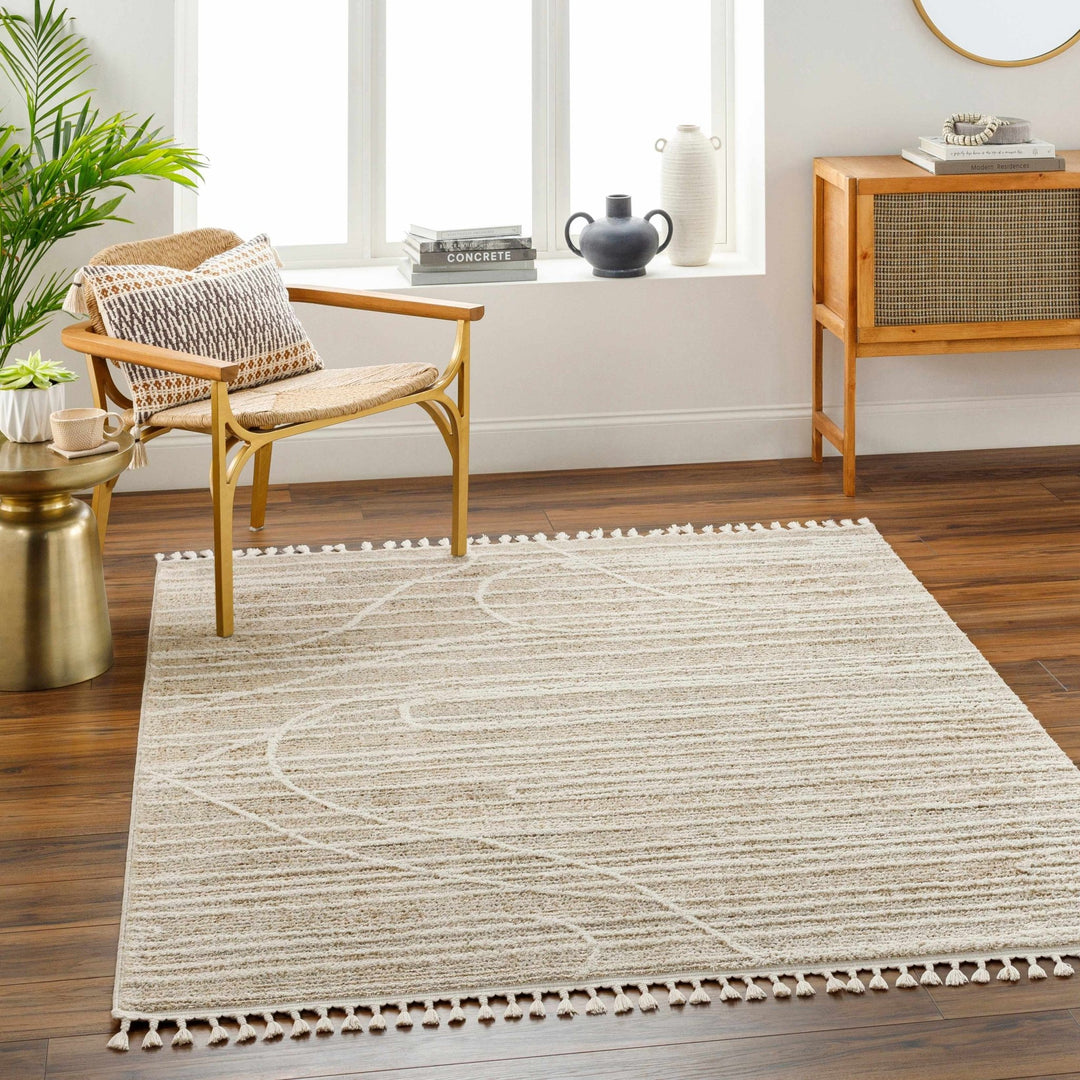 Inaya Contemporary Beige And Brown Area Rug - The Rug Decor