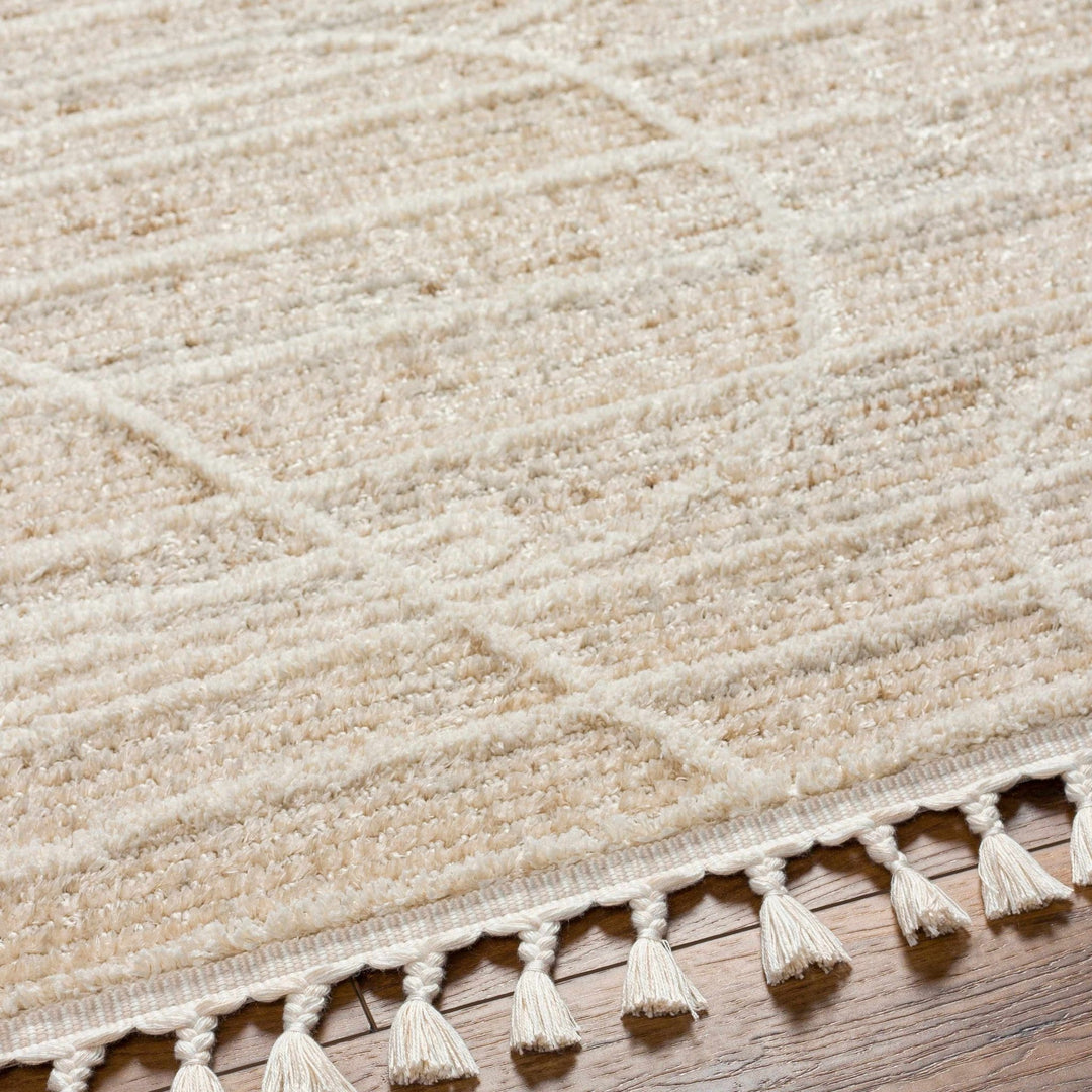 Inaya Contemporary Beige And Brown Area Rug - The Rug Decor