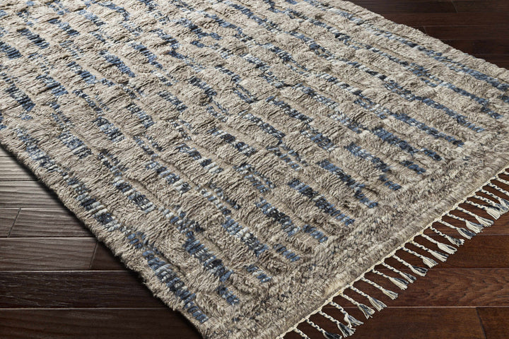 Ingham Gray And Blue Modern Style Hand Knotted Area Rug