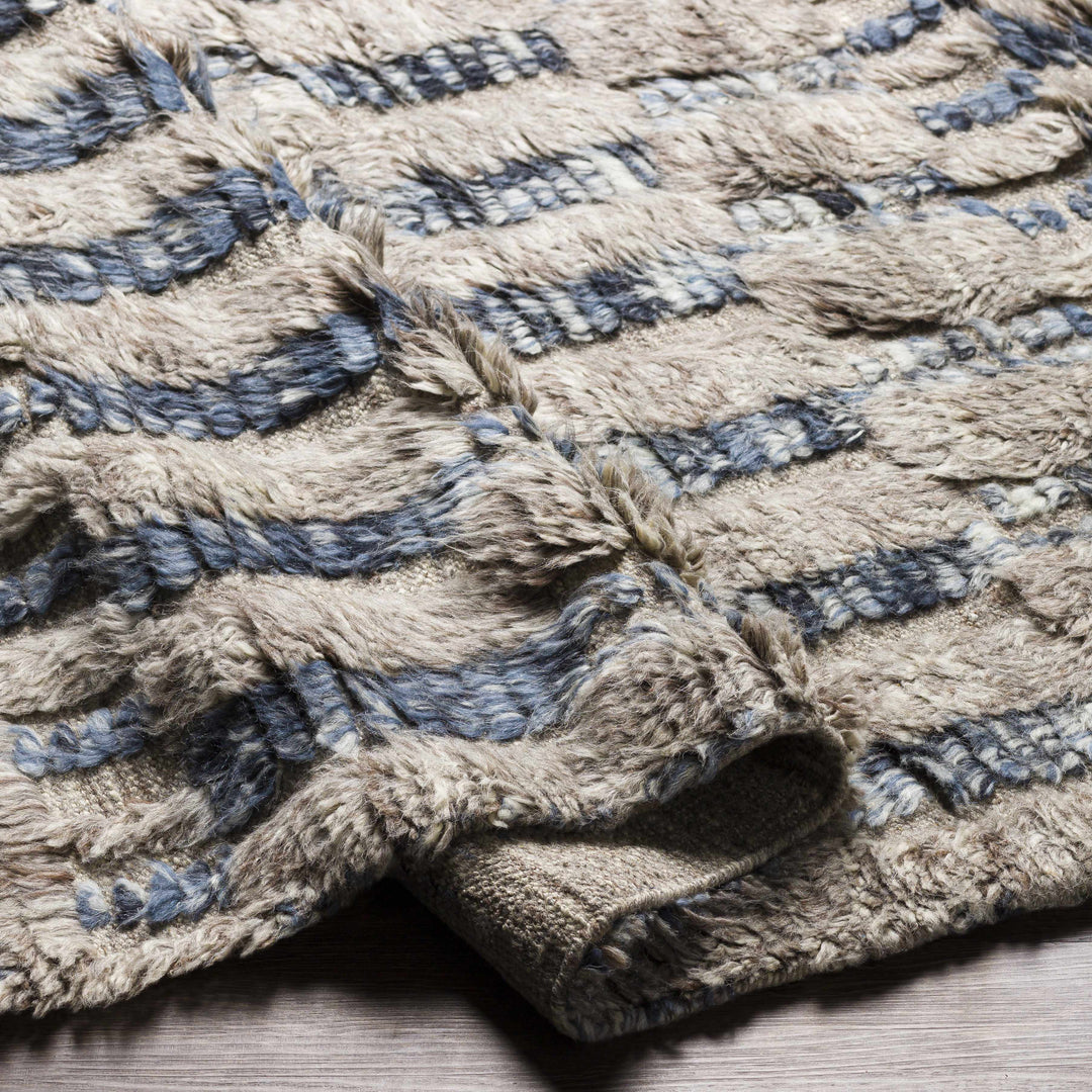 Ingham Gray And Blue Modern Style Hand Knotted Area Rug