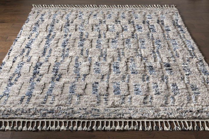 Ingham Gray And Blue Modern Style Hand Knotted Area Rug