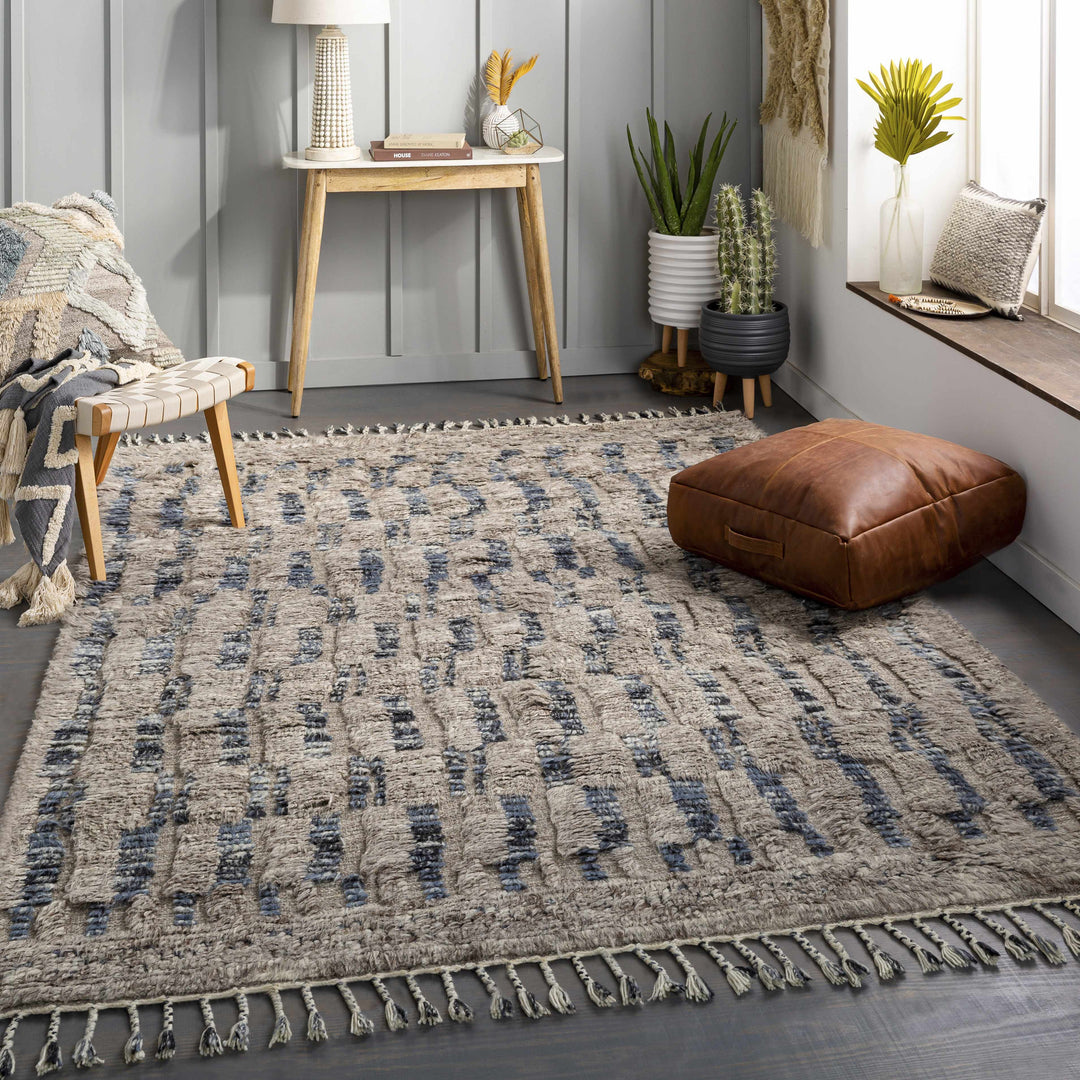 Ingham Gray And Blue Modern Style Hand Knotted Area Rug