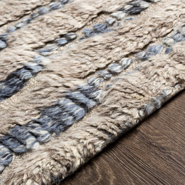 Ingham Gray And Blue Modern Style Hand Knotted Area Rug