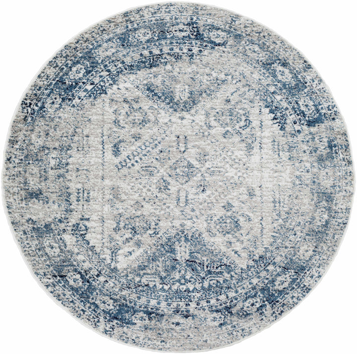 Inkom Traditional Style Ivory And Blue Area Rug