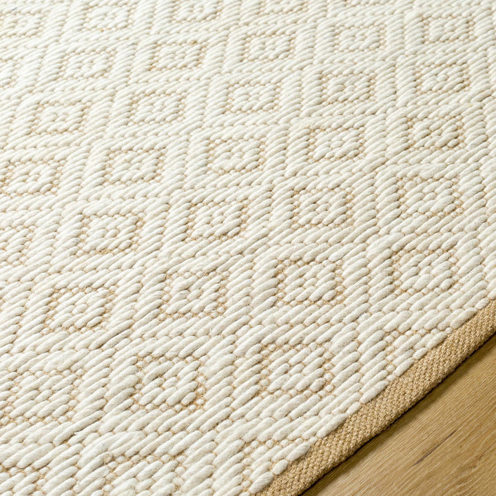 Irela Modern Geometric Design Beige Hand Woven Wool Rug - The Rug Decor