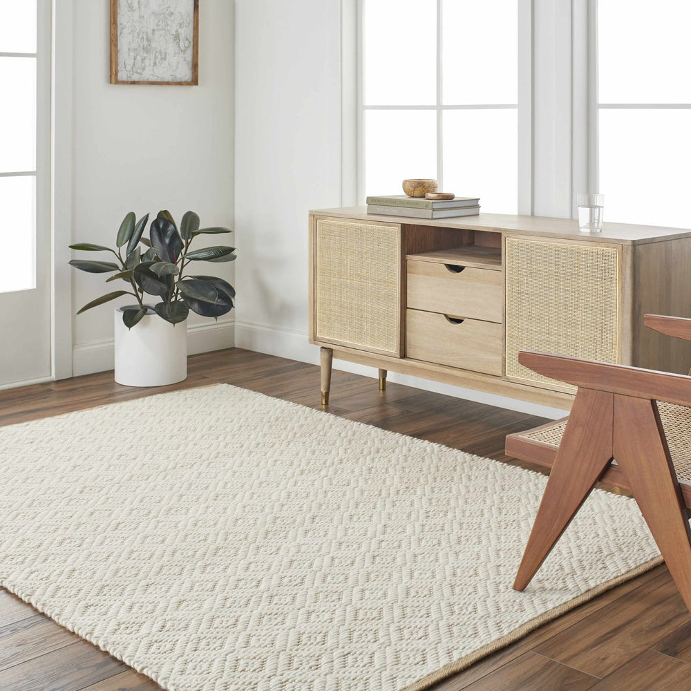 Irela Modern Geometric Design Beige Hand Woven Wool Rug - The Rug Decor