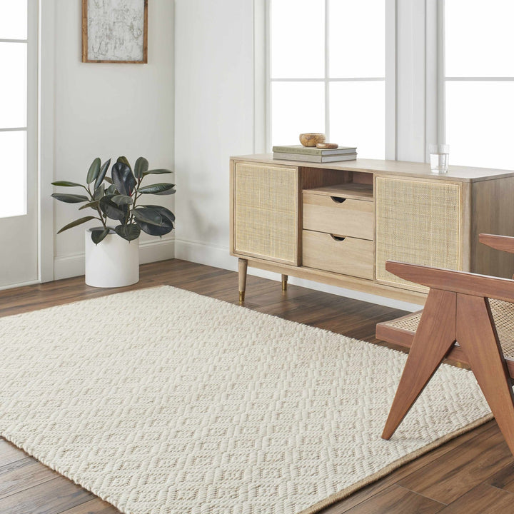 Irela Modern Geometric Design Beige Hand Woven Wool Rug - The Rug Decor