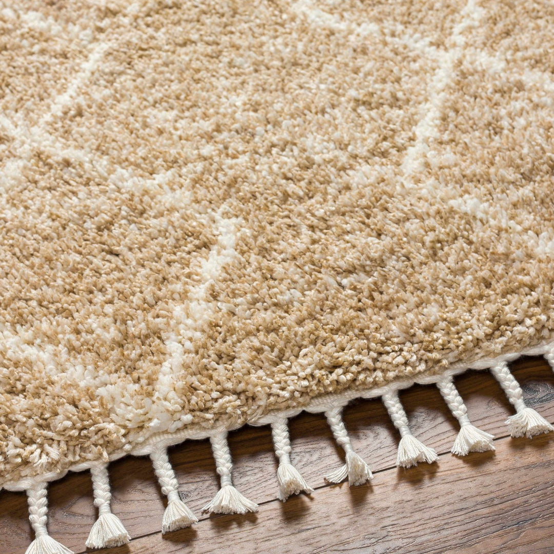 Ishan Contemporary Geometrical Beige And Ivory Area Rug - The Rug Decor