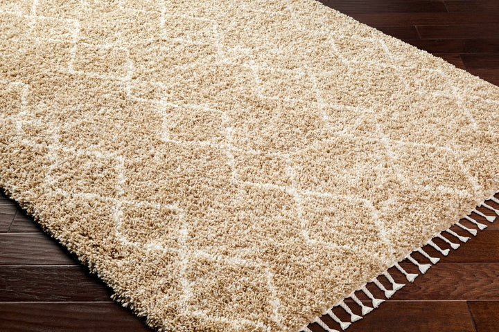 Ishan Contemporary Geometrical Beige And Ivory Area Rug - The Rug Decor