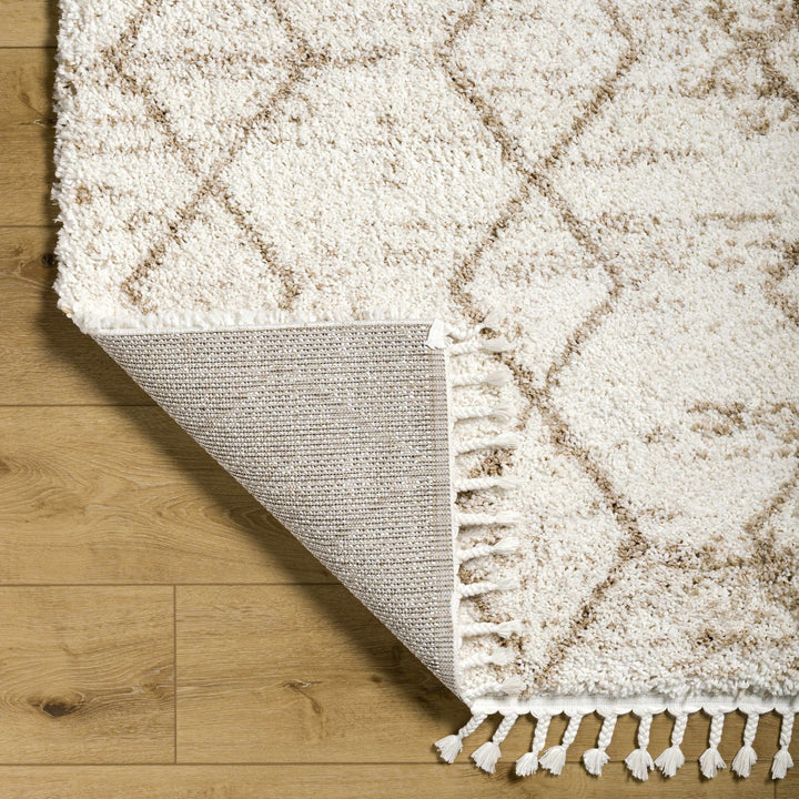 Ishan Contemporary Ivory And Beige Cream Rug - The Rug Decor