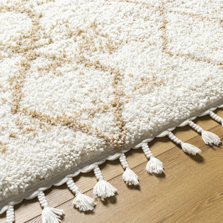 Ishan Contemporary Ivory And Beige Cream Rug - The Rug Decor