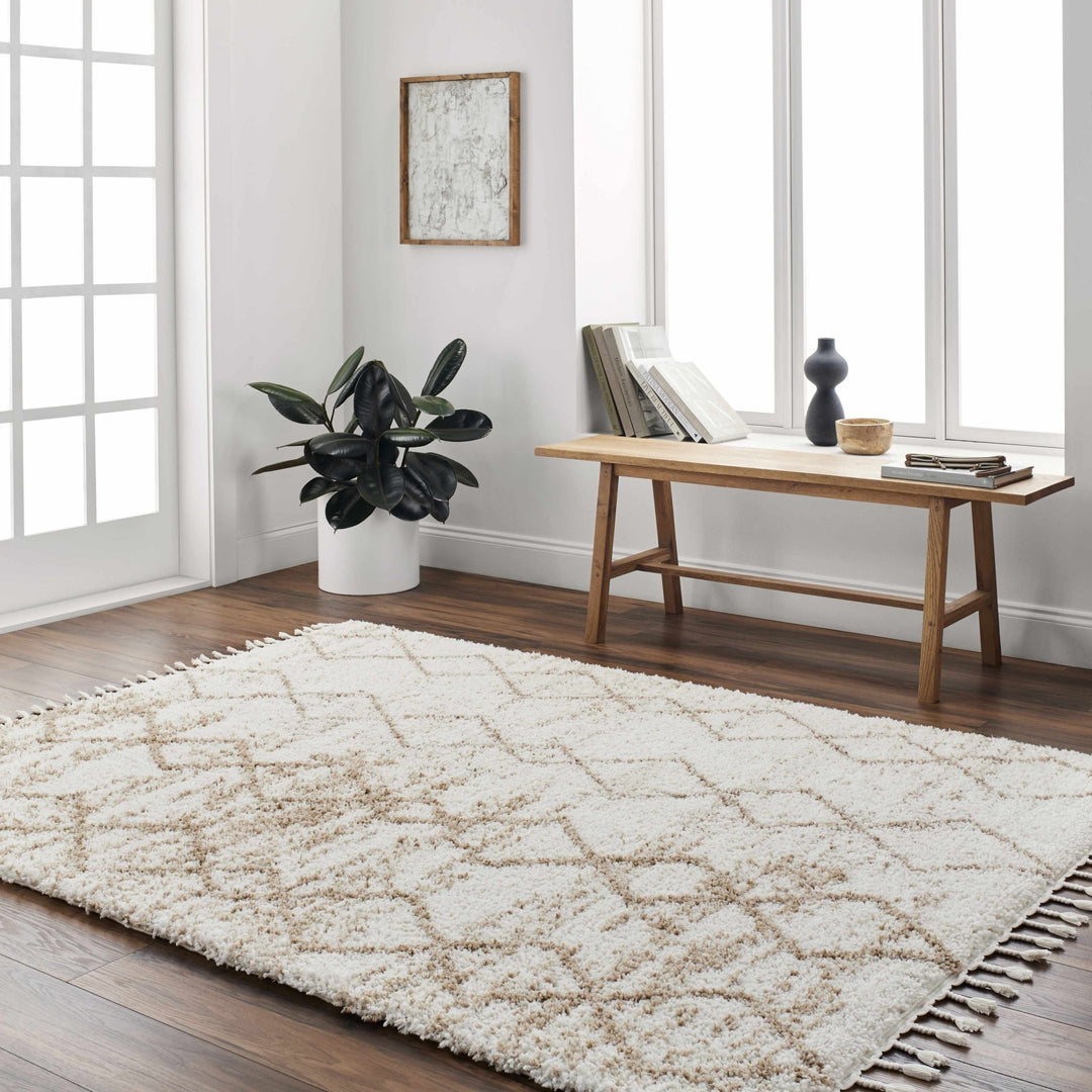 Ishan Contemporary Ivory And Beige Cream Rug - The Rug Decor