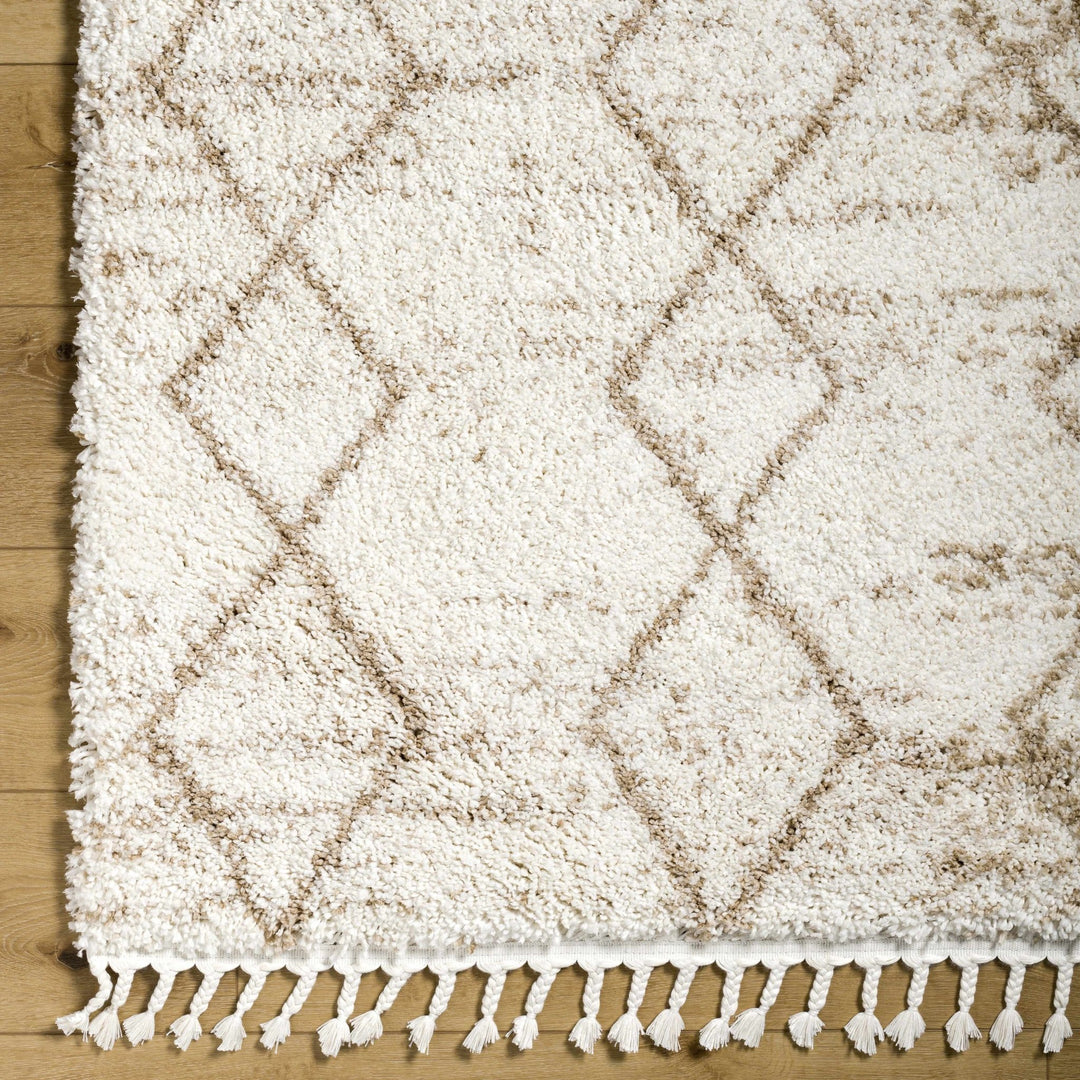 Ishan Contemporary Ivory And Beige Cream Rug - The Rug Decor