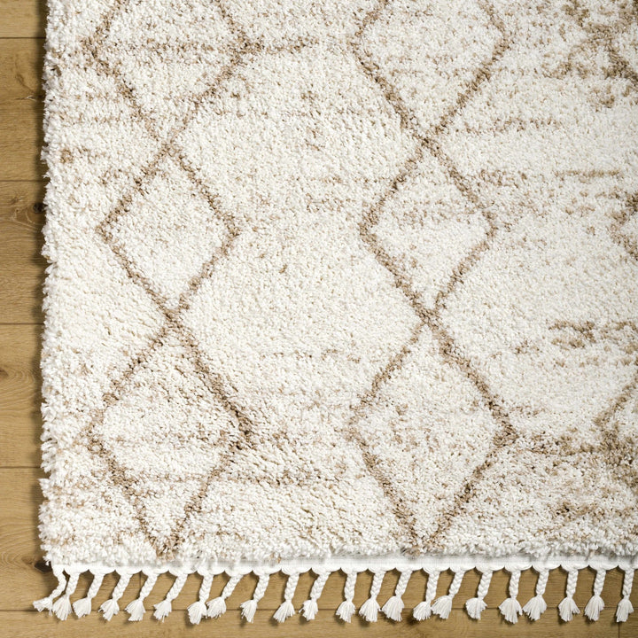Ishan Contemporary Ivory And Beige Cream Rug - The Rug Decor