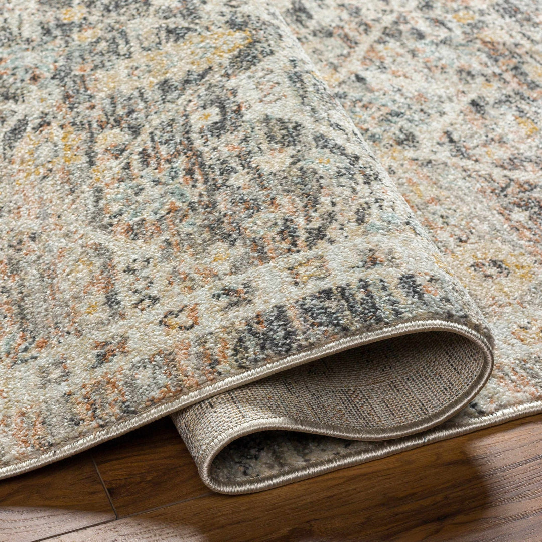 Issay Traditional Style Beige And Gray Rug - The Rug Decor
