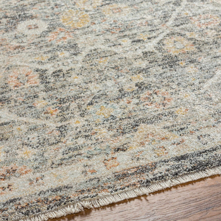 Issay Traditional Style Beige And Gray Rug - The Rug Decor