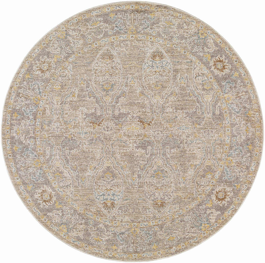 Istas Traditional Style Beige And Gray Area Rug