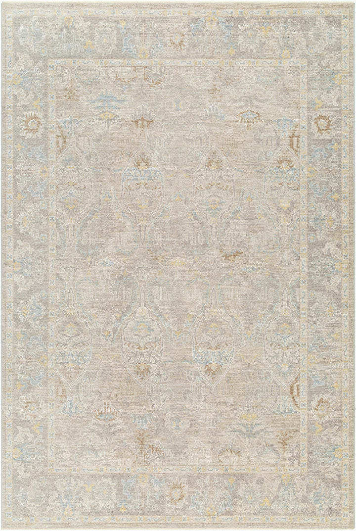 Istas Traditional Style Beige And Gray Area Rug