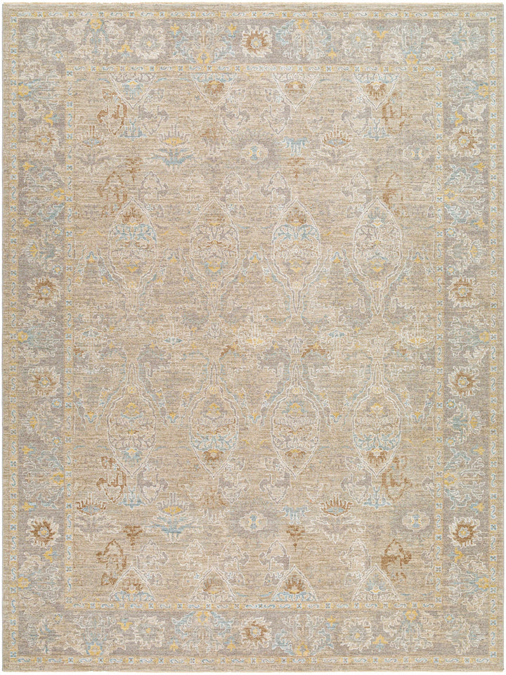 Istas Traditional Style Beige And Gray Area Rug