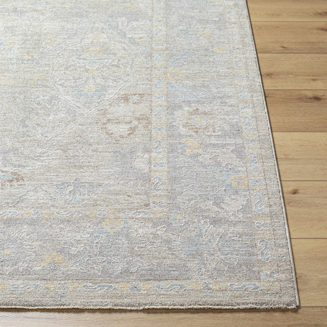 Istas Traditional Style Beige And Gray Area Rug