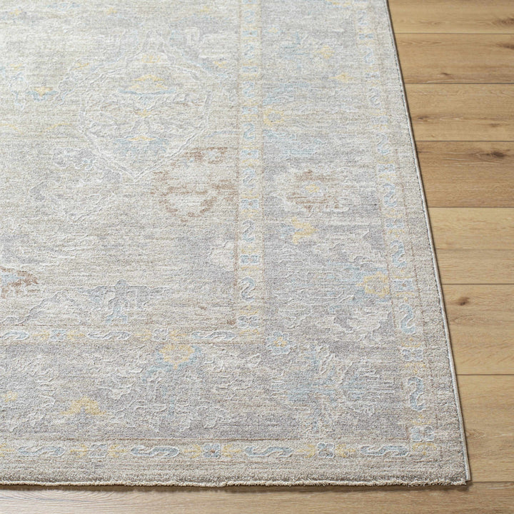 Istas Traditional Style Beige And Gray Area Rug